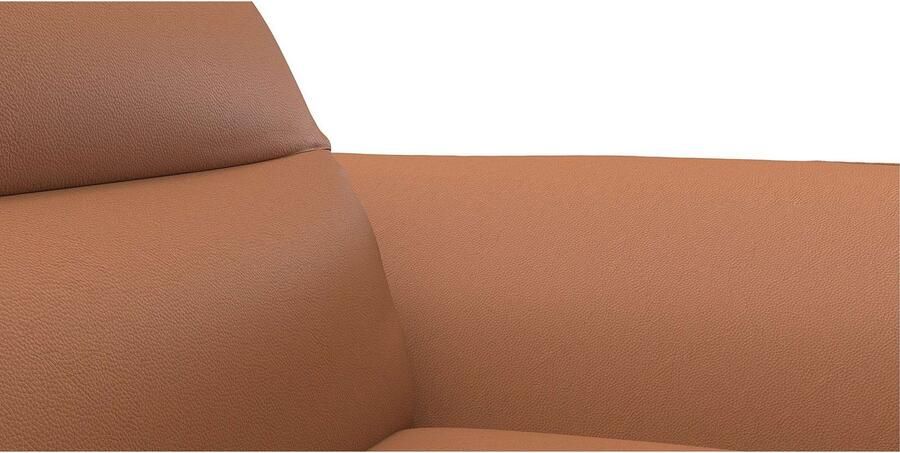 FLEXLUX 2 5-zits Salino functie-sofa relaxsofa Bank met arm- en hoofdeinde verstellingen koudschuim & staalgolven