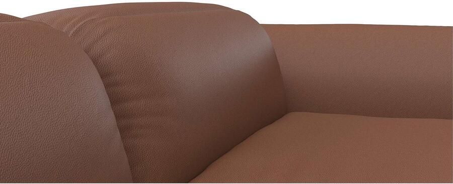 FLEXLUX Hoekbank Salino functionele bank met recamiere relaxbank hoekbank Bank met arm- en hoofdeinde verstellingen koudschuim & staalgolven