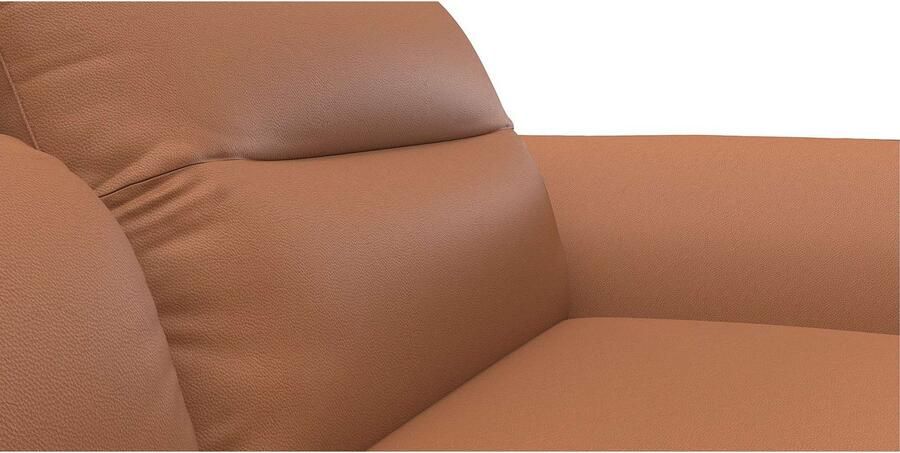 FLEXLUX Hoekbank Salino functionele bank met recamiere relaxbank hoekbank Bank met arm- en hoofdeinde verstellingen koudschuim & staalgolven