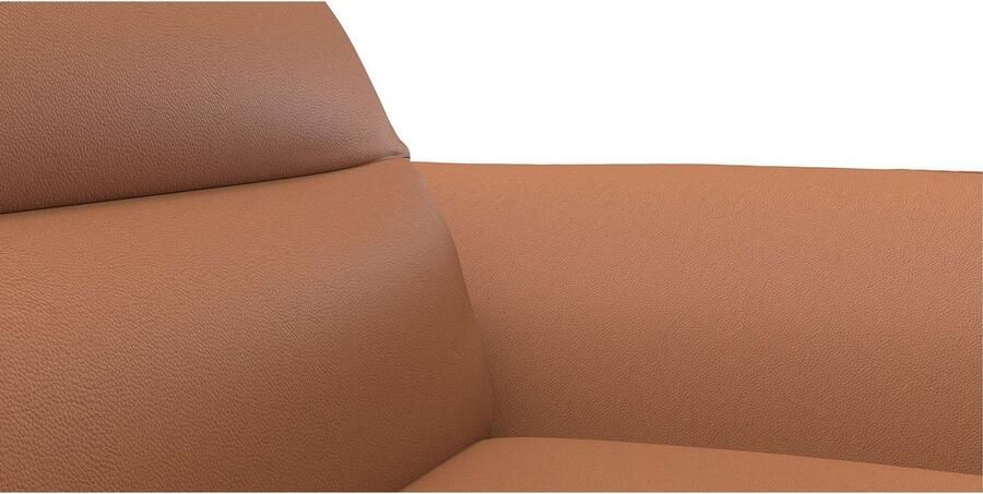 FLEXLUX Hoekbank Salino functionele bank met recamiere relaxbank hoekbank Bank met arm- en hoofdeinde verstellingen koudschuim & staalgolven