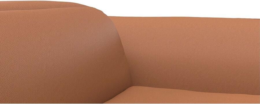 FLEXLUX Hoekbank Salino functionele bank met recamiere relaxbank hoekbank Bank met arm- en hoofdeinde verstellingen koudschuim & staalgolven - Foto 3