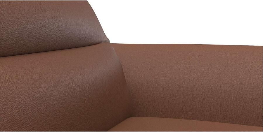 FLEXLUX Hoekbank Salino functionele bank met recamiere relaxbank hoekbank Bank met arm- en hoofdeinde verstellingen koudschuim & staalgolven