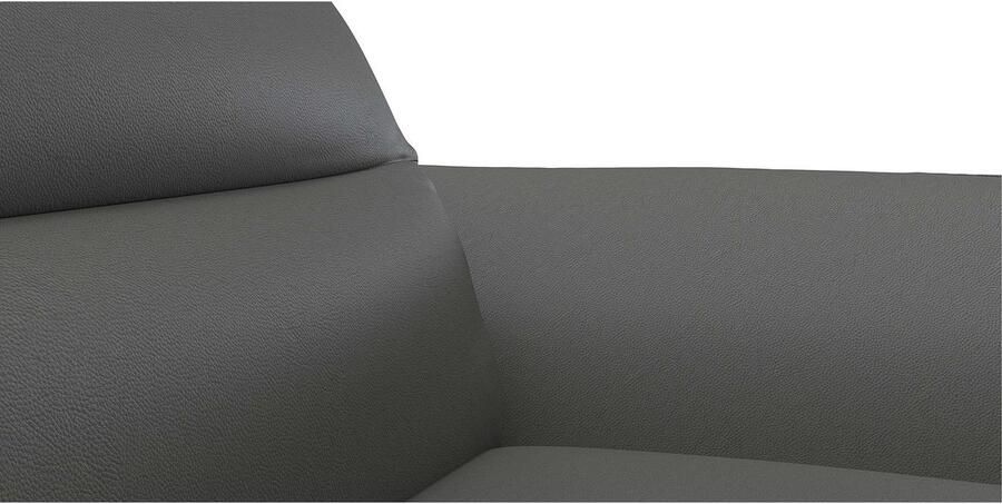 FLEXLUX Hoekbank Salino functionele bank met recamiere relaxbank hoekbank Bank met arm- en hoofdeinde verstellingen koudschuim & staalgolven