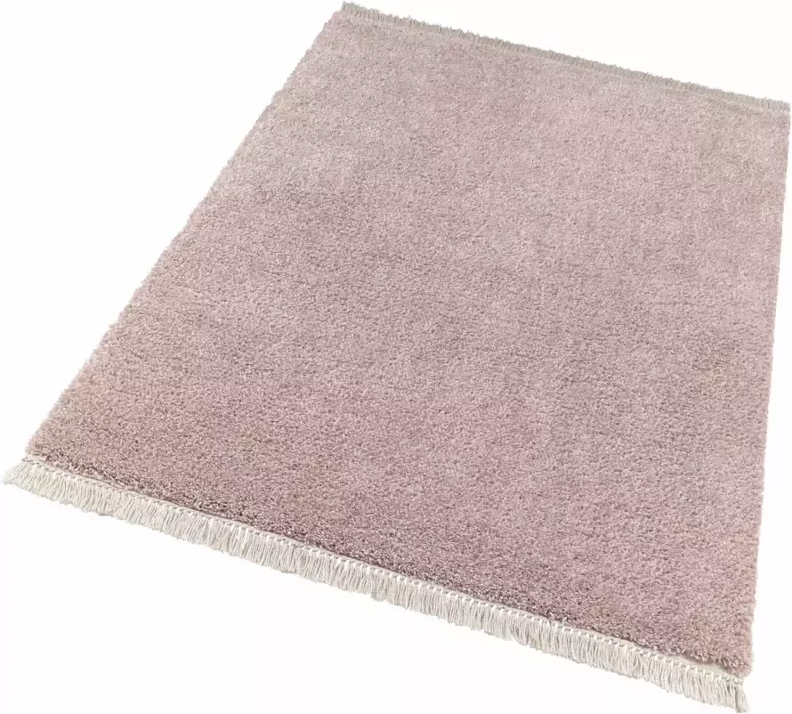 Freundin Home Collection Hoogpolig vloerkleed Aloe Zachte pool pastelkleuren met franje robuust gemakkelijk in onderhoud