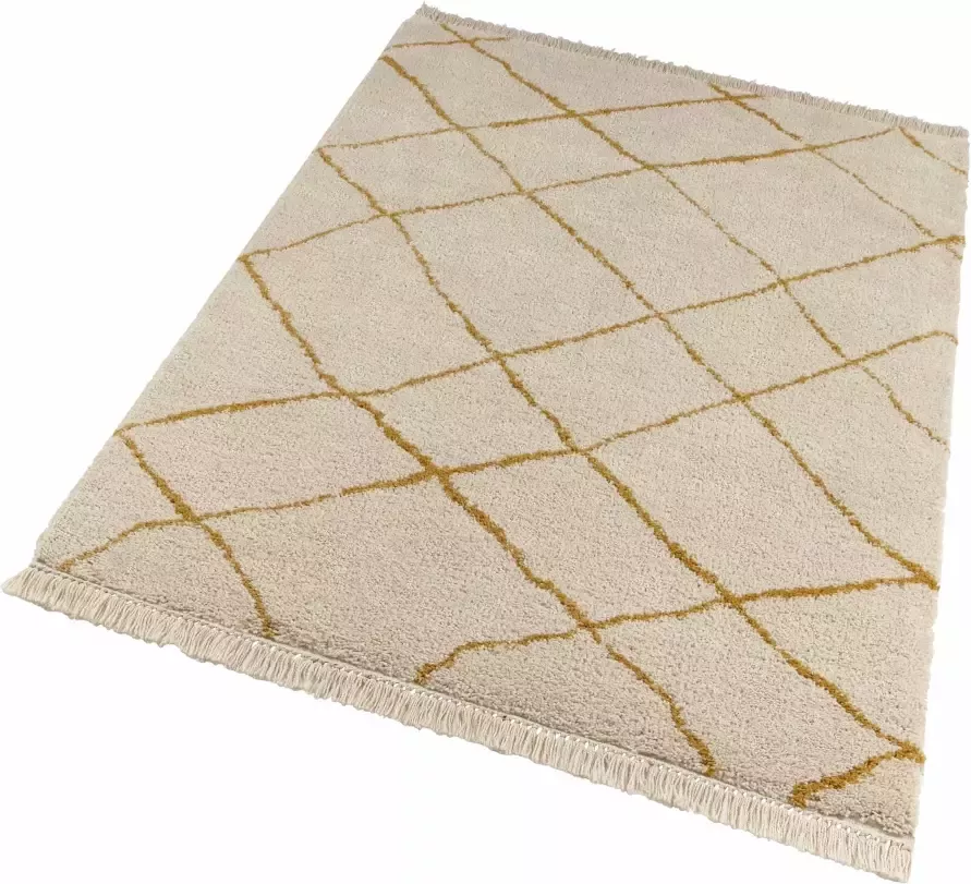 Freundin Home Collection Hoogpolig vloerkleed Primrose Bijzonder zachte pool Scandi look met franje robuust gemakkelijk in onderhoud