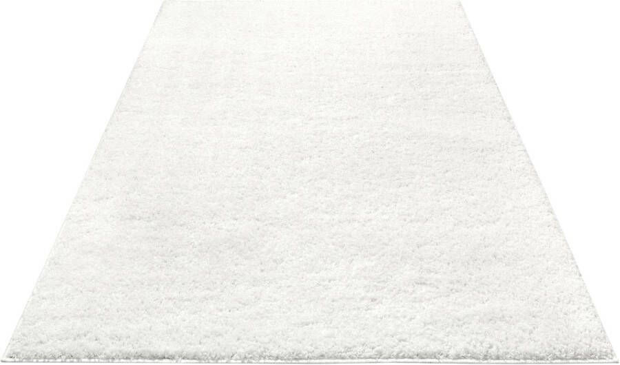 Freundin Home Collection Vloerkleed AMELIE Unikleuren ingetogen design rondom afgehecht slijtvast - Foto 2