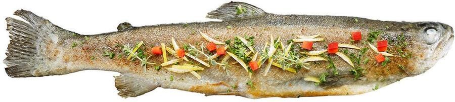 GEFU Barbecueschaal FISCHHALTER BBQ verstelbare maat gemakkelijk schoon te maken perfect voor barbecuefeesten (1 stuk) - Foto 3