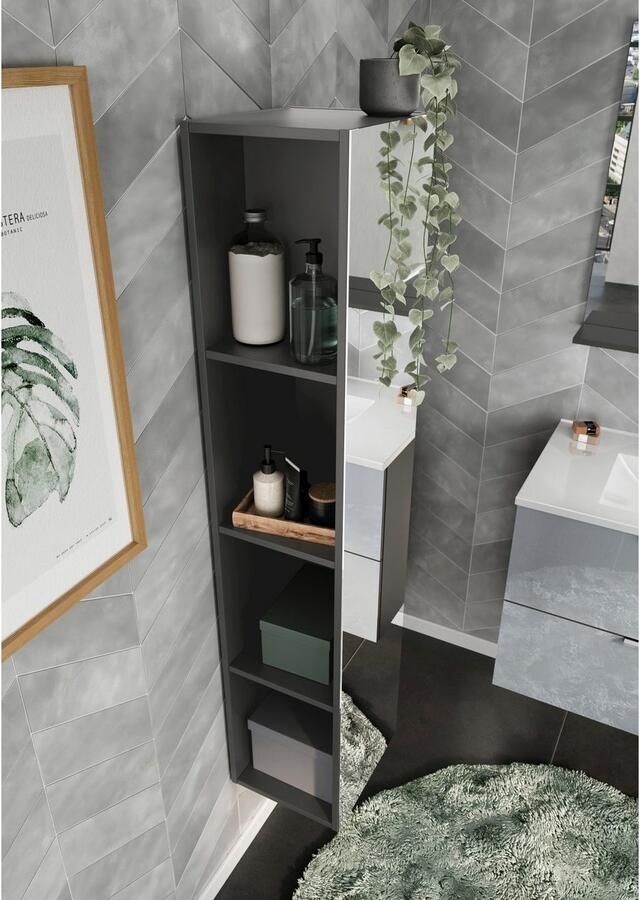 GERMANIA Badkamerrekje Kast met spiegelfront en vaste legplanken 4 vakken