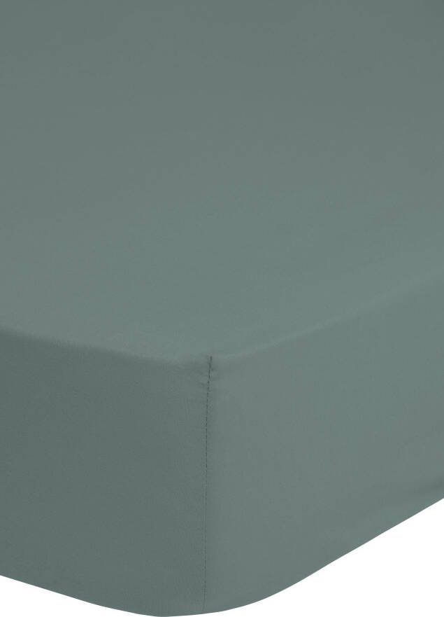 Good morning Hoeslaken Jersey Junior Katoen Baby Jersey Volledige elastiek tot 20 cm hoogte 60x120 Wit (1 stuk) - Foto 5