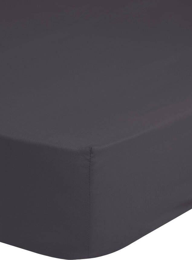 Good morning Hoeslaken Jersey Spannbettlaken 100% katoen jersey volledige elastiek tot 25 cm hoogte 90 100x200 wit (1 stuk) - Foto 5