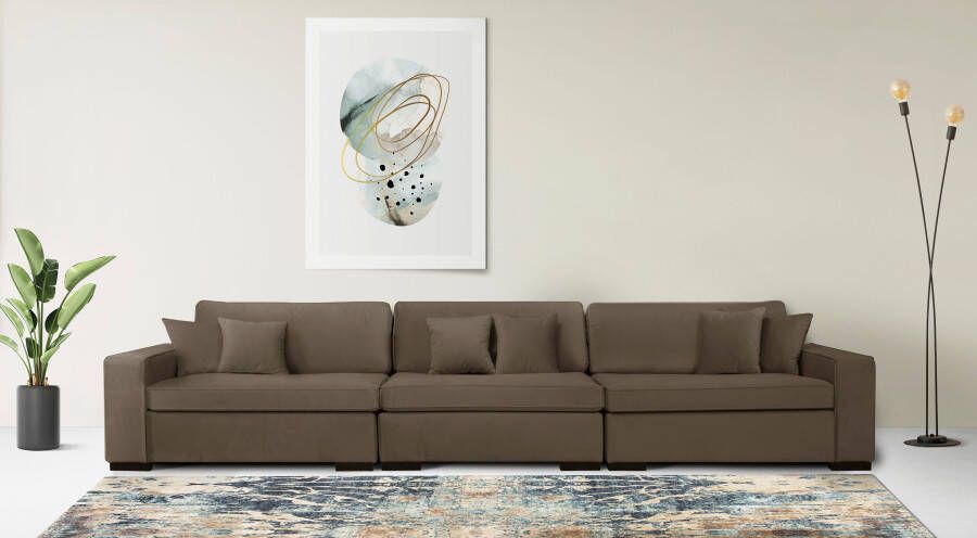 Home affaire 3-zitsbank Skara Loungebank met binnenveringsinterieur in vele overtrekkwaliteiten - Foto 4