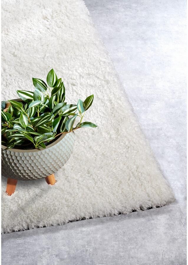 HANSE Home Hoogpolig vloerkleed Olaf Lange pool shaggy effen pluizig zacht glanzend modern effen - Foto 2
