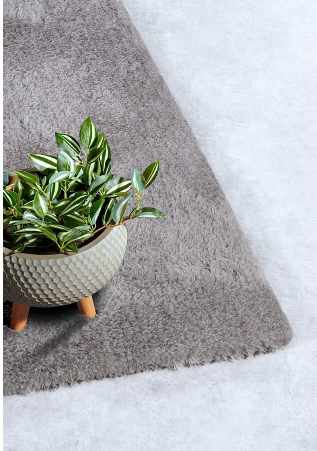 HANSE Home Hoogpolig vloerkleed Olaf Lange pool shaggy effen pluizig zacht glanzend modern effen - Foto 4