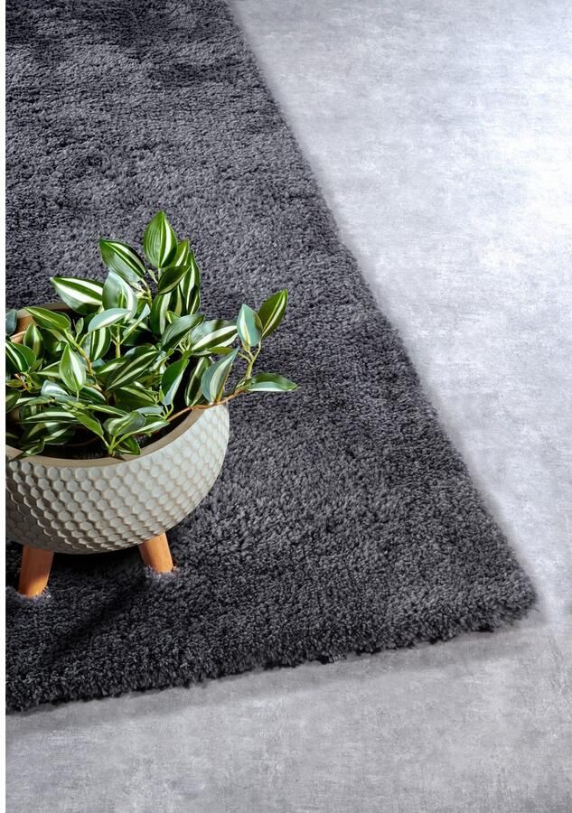 HANSE Home Hoogpolig vloerkleed Olaf Lange pool shaggy effen pluizig zacht glanzend modern effen - Foto 4