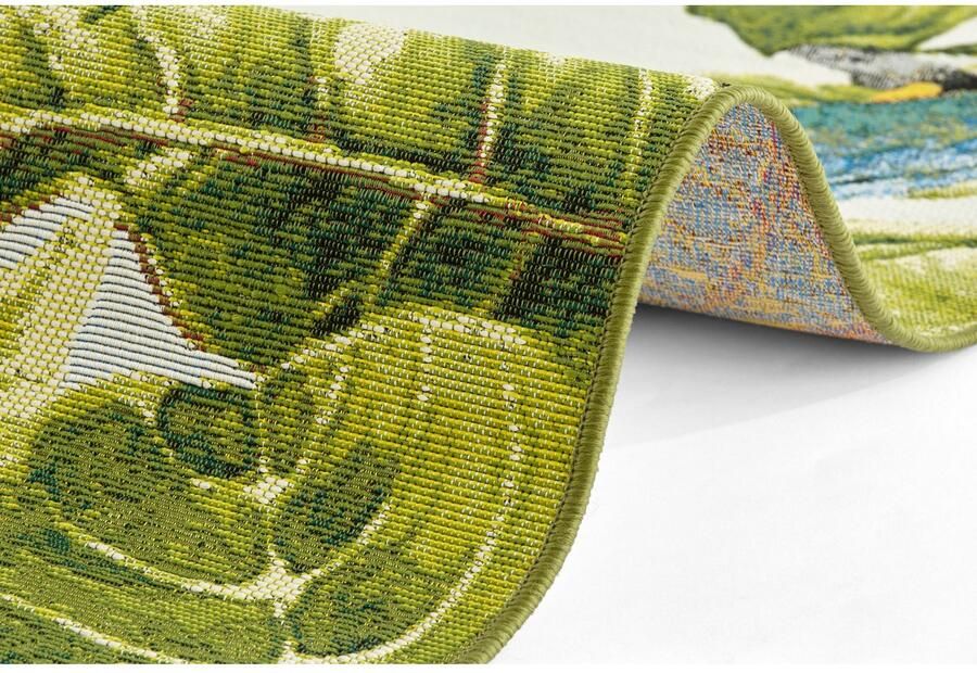 HANSE Home Outdoorkleed Tropical Birds In-& outdoor tapijt weerbestendig balkon tuin woonkamer floraal - Foto 3