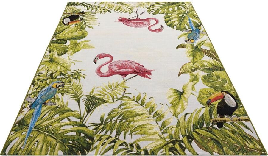 HANSE Home Outdoorkleed Tropical Birds In-& outdoor tapijt weerbestendig balkon tuin woonkamer floraal - Foto 5