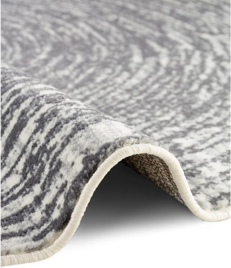 HANSE Home Vloerkleed Cavallo Woonkamer slaapkamer gang kortpolig gemêleerd vintage zacht - Foto 2