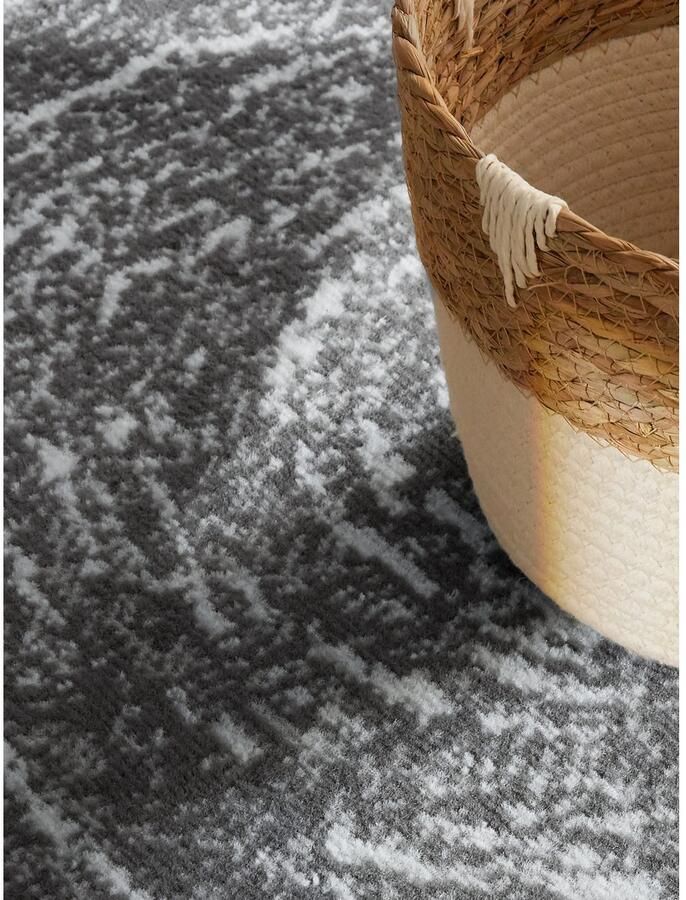 HANSE Home Vloerkleed Cavallo Woonkamer slaapkamer gang kortpolig gemêleerd vintage zacht - Foto 3