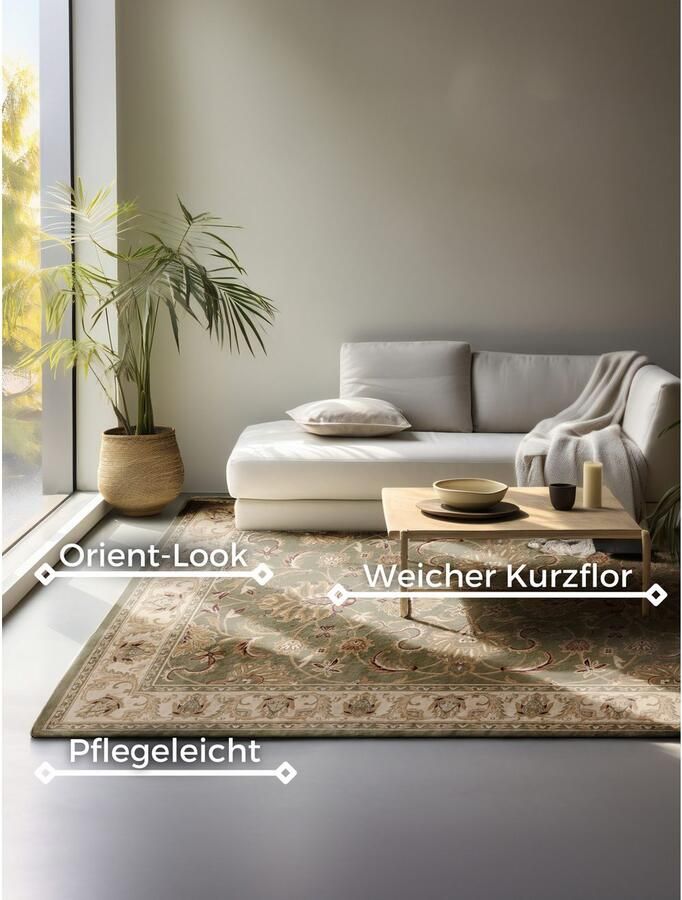 HANSE Home Vloerkleed Harirud Orient look slijtvast onderhoudsvriendelijk robuust