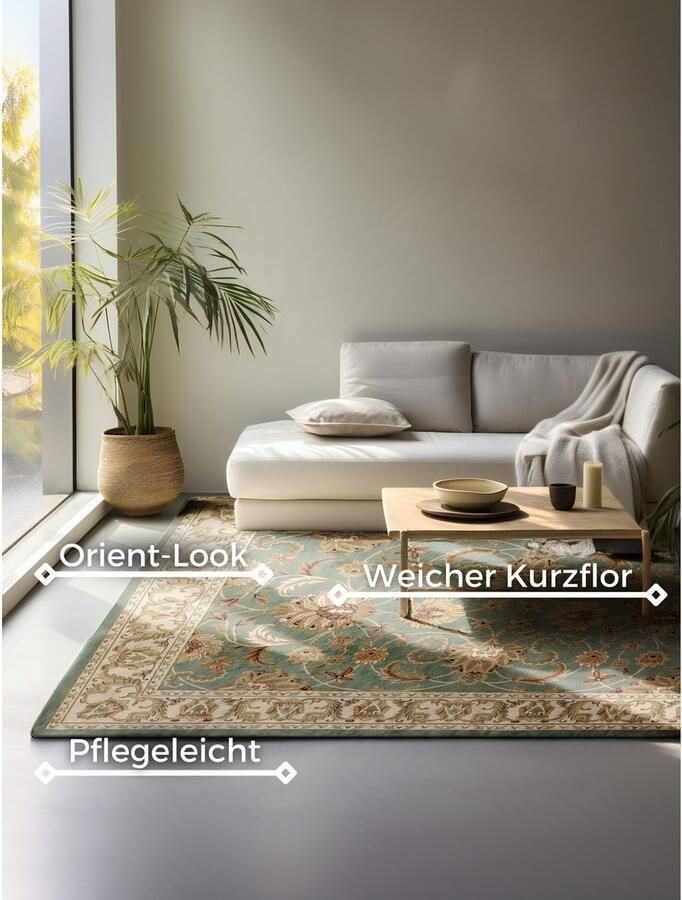 HANSE Home Vloerkleed Harirud Orient look slijtvast onderhoudsvriendelijk robuust - Foto 6