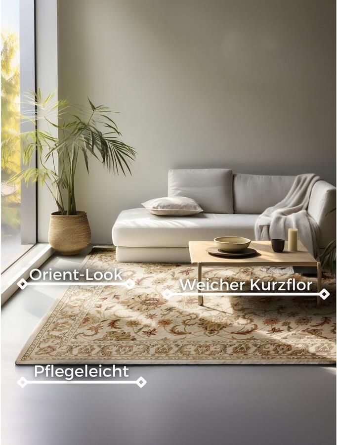 HANSE Home Vloerkleed Harirud Orient look slijtvast onderhoudsvriendelijk robuust - Foto 7