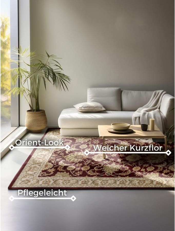 HANSE Home Vloerkleed Harirud Orient look slijtvast onderhoudsvriendelijk robuust - Foto 6