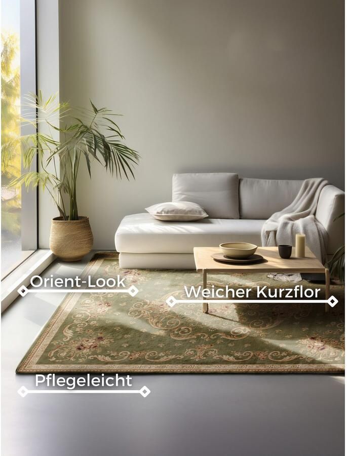 HANSE Home Vloerkleed Obe Orient look slijtvast onderhoudsvriendelijk robuust