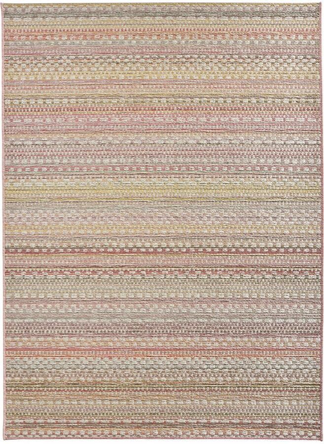 HANSE Home Vloerkleed Pijnboom Geschikt voor binnen en buiten slijtvast en gemakkelijk in onderhoud platweefsel - Foto 6