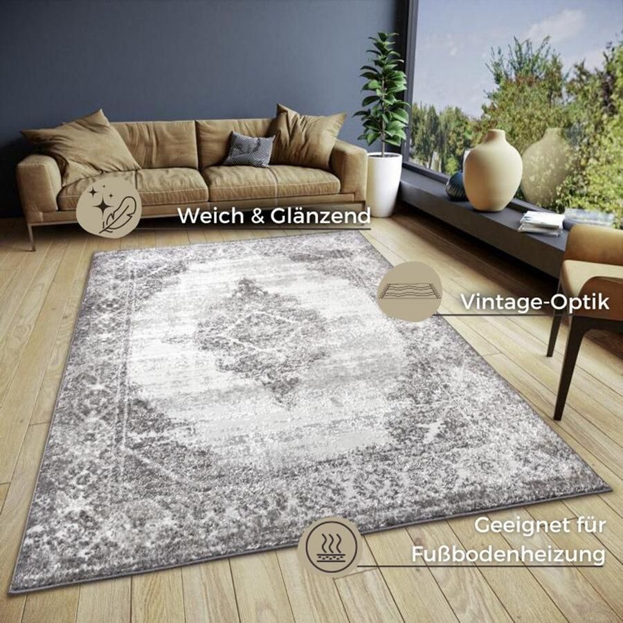 HANSE Home Vloerkleed Retro slijtvast onderhoudsvriendelijk robuust glanzend