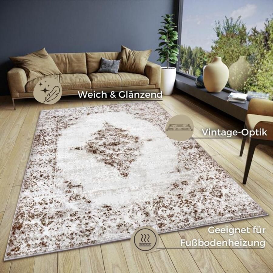 HANSE Home Vloerkleed Retro slijtvast onderhoudsvriendelijk robuust glanzend