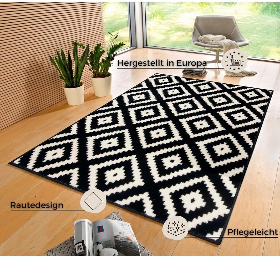 HANSE Home Vloerkleed Ruit Korte pool Scandinavisch ruit modern woonkamer slaapkamer hal