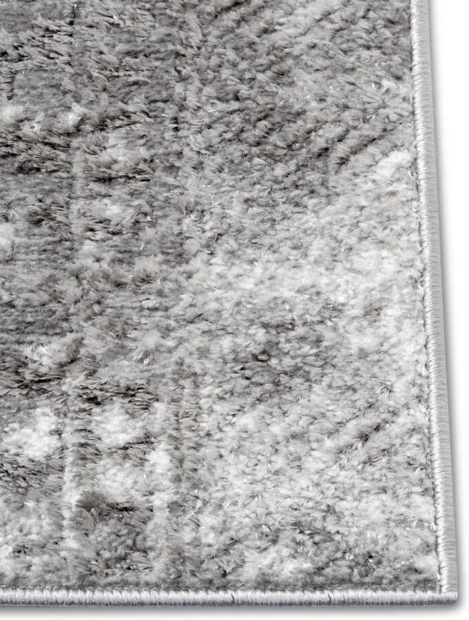 HANSE Home Vloerkleed Style Vintage korte pool oosters uiterlijk onderhoudsvriendelijk robuust glanzend - Foto 2