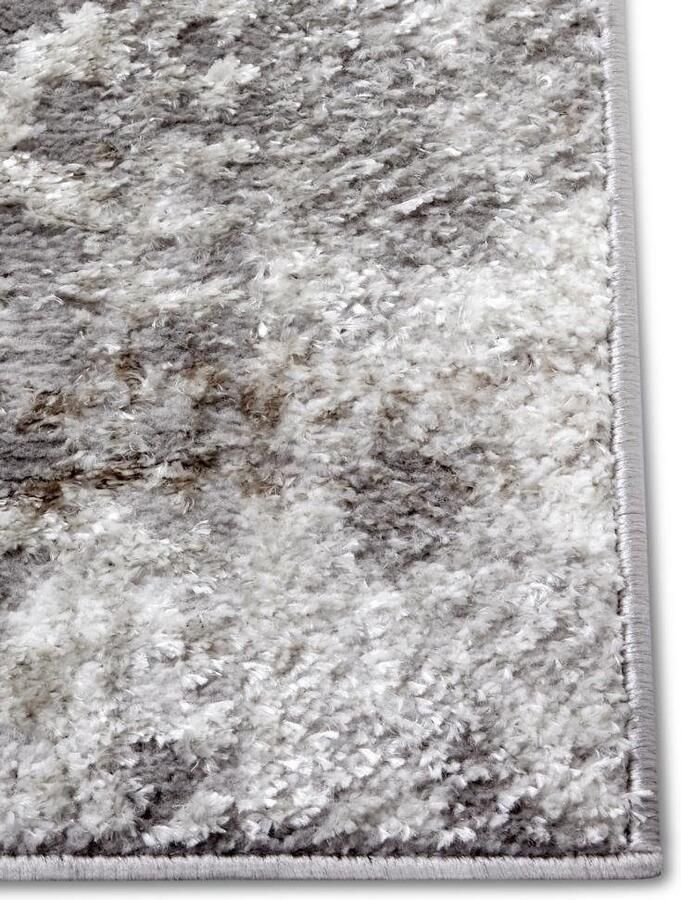 HANSE Home Vloerkleed Style Vintage korte pool oosters uiterlijk onderhoudsvriendelijk robuust glanzend - Foto 2