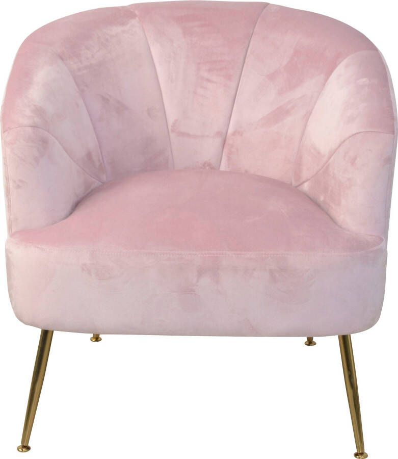 HOFMANN LIVING AND MORE Fauteuil Poten van stalen buizen goudkleurig gelakt veloursovertrek - Foto 5