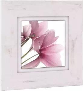 Home affaire Artprint op hout Roze viooltje 40 40 cm