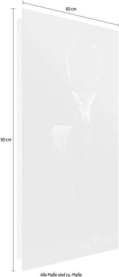 Home24 Afbeelding Hert in het licht Reinders - Foto 3