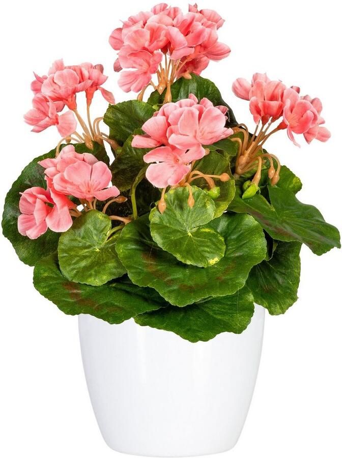 Home affaire Kunstplant Havel in een pot(2 stuks)