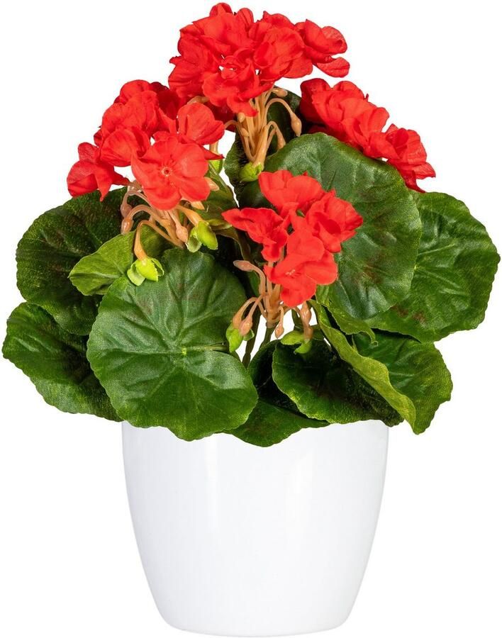 Home affaire Kunstplant Havel in een pot(2 stuks)