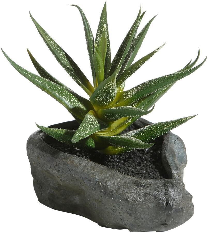 Home affaire Kunstplant Vetplanten (4 stuks) - Foto 7