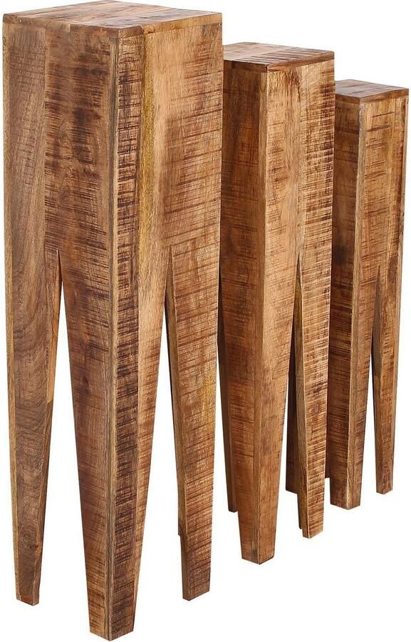 Artistiq Living Artistiq Zuil Fleur Mangohout Set van 3 stuks Bruin - Foto 2