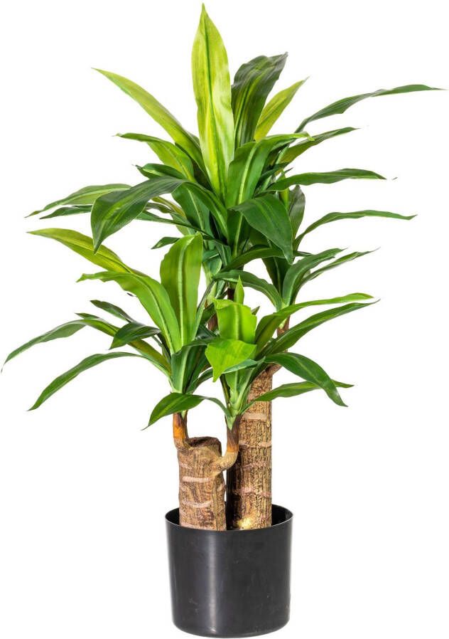 Home affaire Kunst-potplanten Corentin (1 stuk) - Foto 1