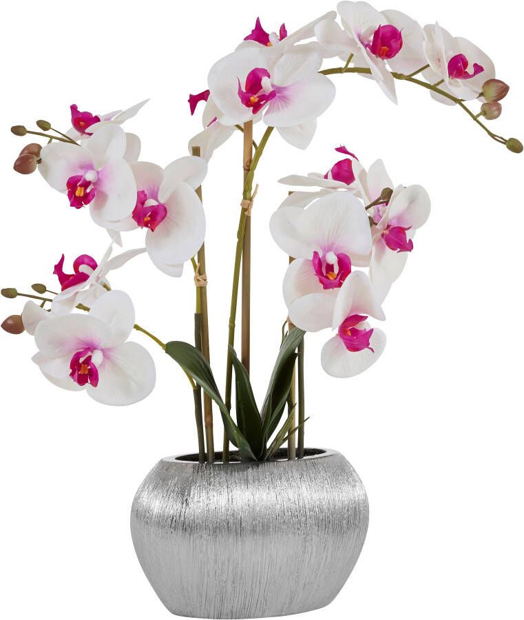 Home affaire Kunstplant Orchidee Kunstorchidee in een pot (1 stuk) - Foto 7