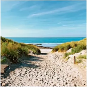 Home affaire Print op glas Beach with sand dunes and a path to the sea 30 30 cm