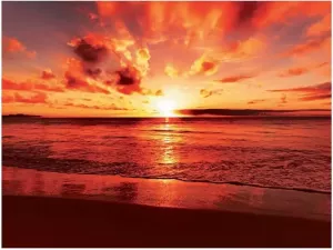 Home affaire Print op glas Beautiful tropical sunset on the beach 80 60 cm