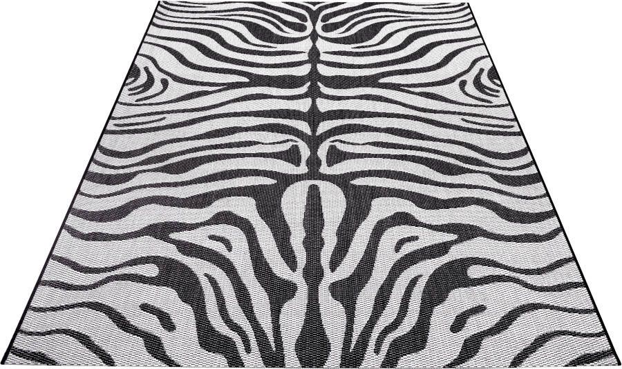 Home affaire Vloerkleed Zadie Zebradesign robuust gemakkelijk in onderhoud platweefsel - Foto 2