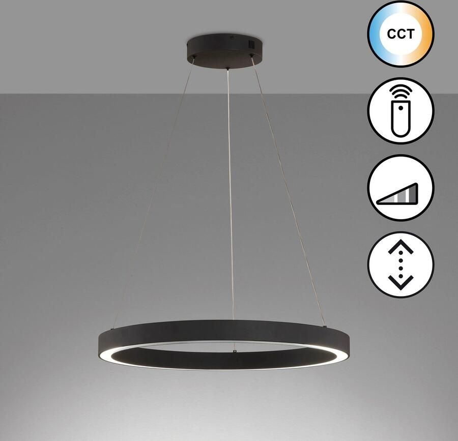 Honsel Leuchten Hanglamp Sirko duurzame led dimbaar (1 stuk) - Foto 2