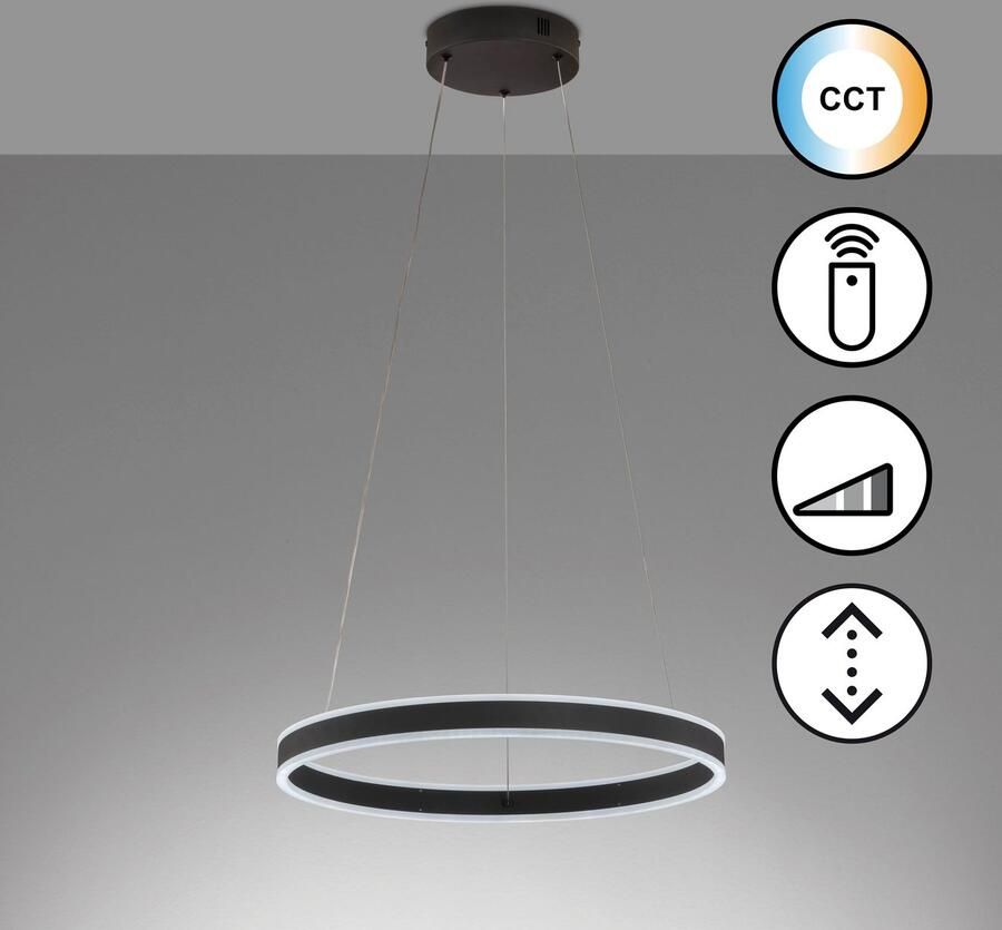 Honsel Leuchten Hanglamp Sirko duurzame led dimbaar (1 stuk) - Foto 2