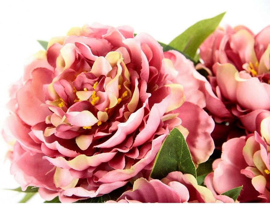 I.GE.A. Bos bloemen - Foto 2