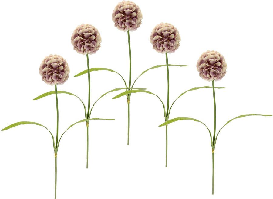 I.GE.A. Kunstbloem Allium 5set van (5 stuks)