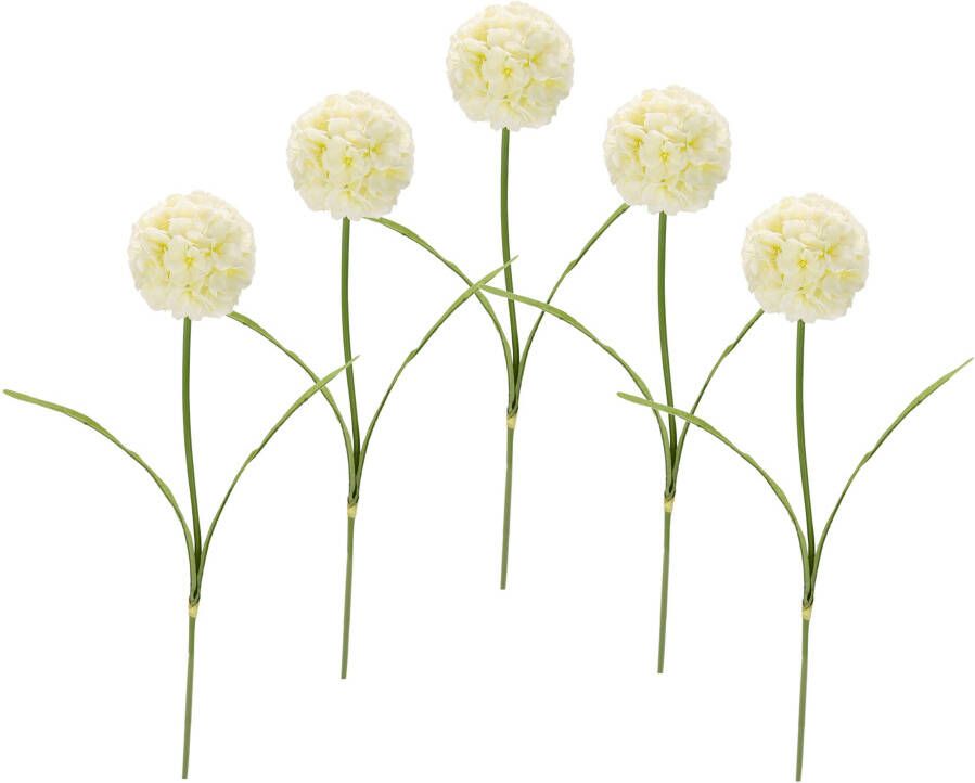 I.GE.A. Kunstbloem Allium 5set van (5 stuks) - Foto 1